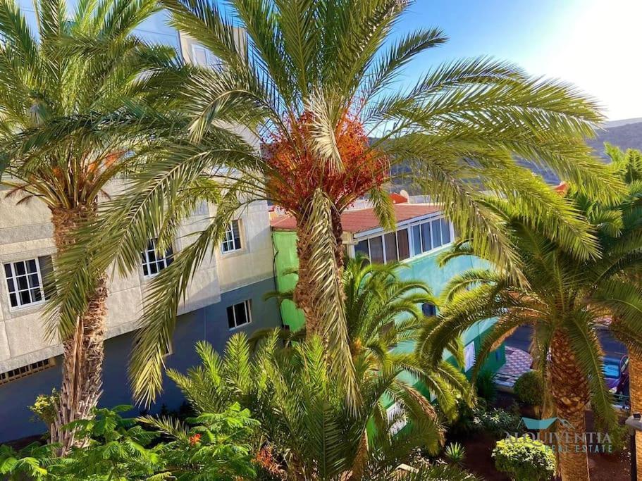 Texeida'S Home Arguineguin Bagian luar foto
